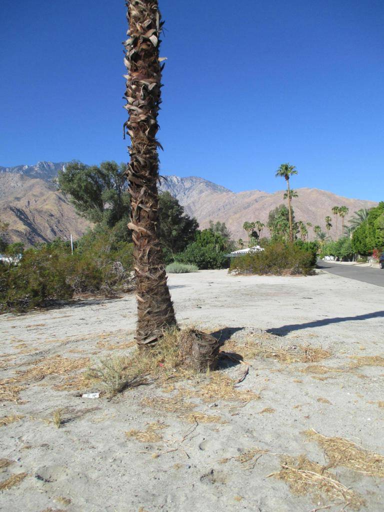 Palm Springs, CA 92262,0 San Marco WAY