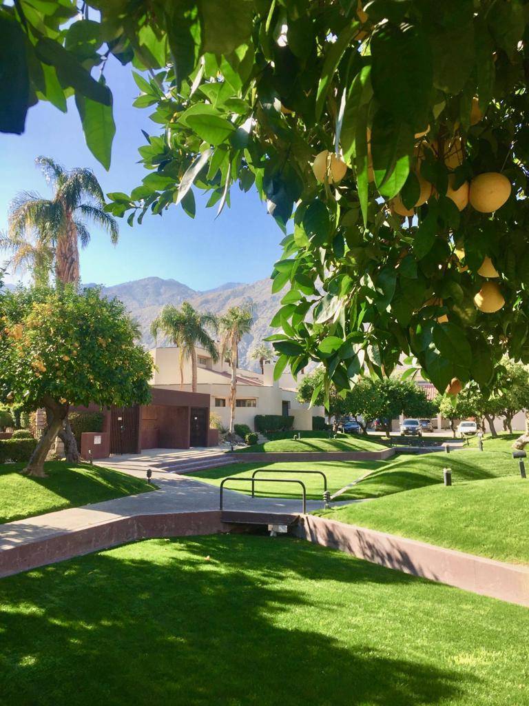 Palm Springs, CA 92262,945 Village Square SQ N