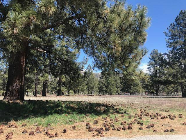 Mountain Center, CA 92561,Lot 4 Tool Box Spring RD