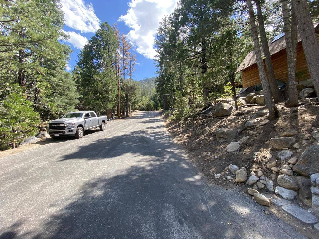 Idyllwild, CA 92549,24676 Forest DR