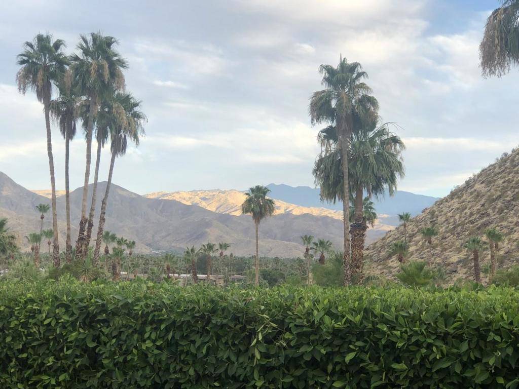 Palm Springs, CA 92264,417 Onyx DR