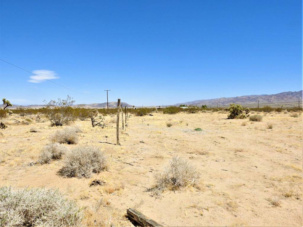 Joshua Tree, CA 92252,0 Desert Trail + Center Ave