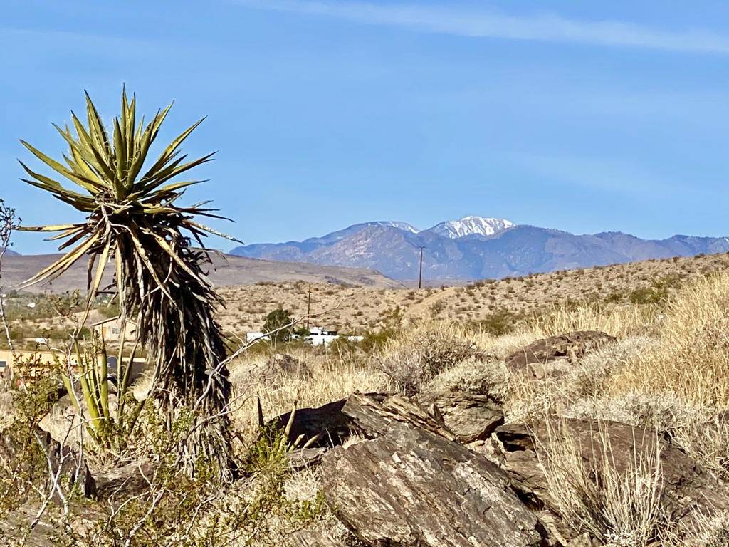 Joshua Tree, CA 92252,126 Demense RD