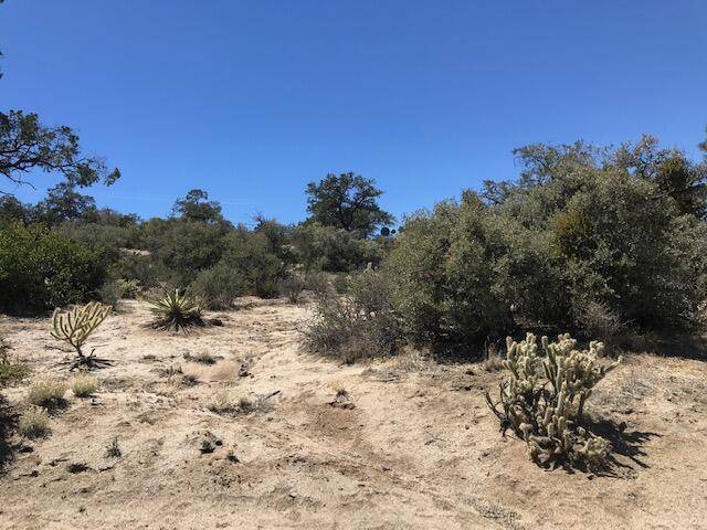 Mountain Center, CA 92561,Lot 93 Scenic