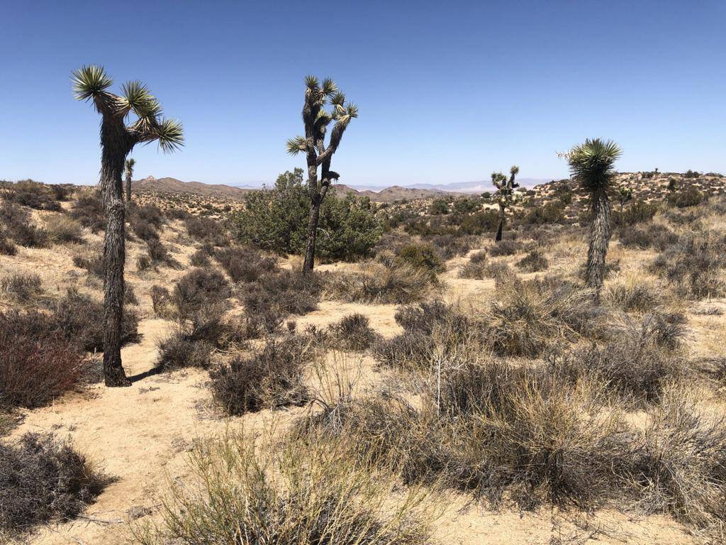 Pioneertown, CA 92268,5 Acres Gilhouse  (Apn-045466110) LN