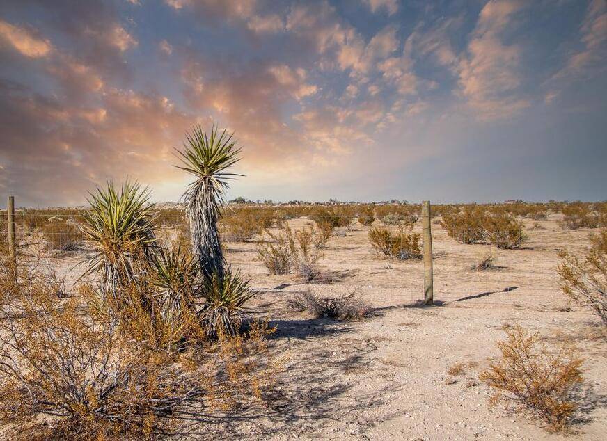 Joshua Tree, CA 92252,61820 Calle Del Rio