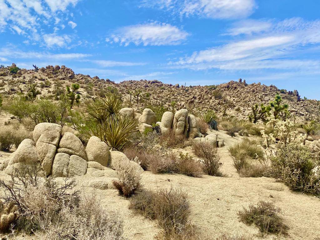 Yucca Valley, CA 92284,104 Bandera RD