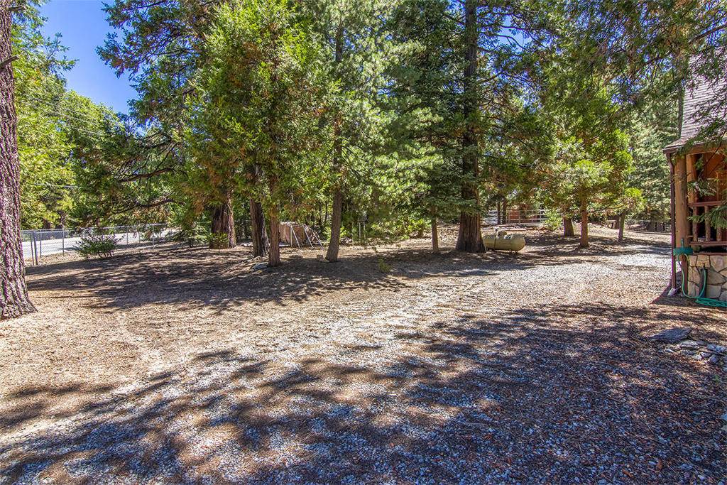 Idyllwild, CA 92549,52781 Laurel Trail TRL