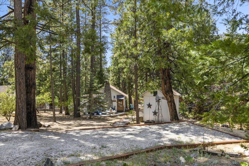 Idyllwild, CA 92549,25115 Rim Rock RD