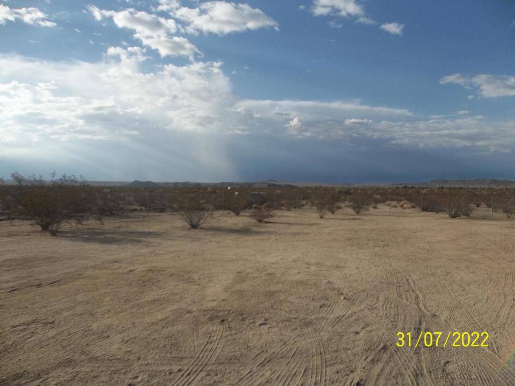 Joshua Tree, CA 92252,64806 Chollita RD