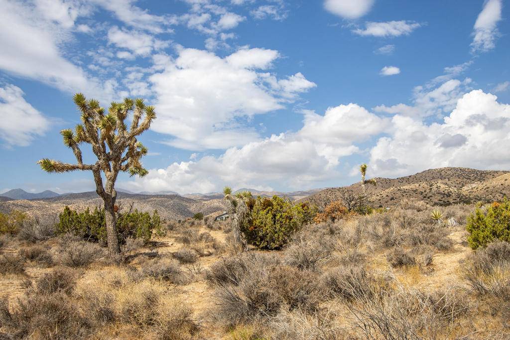 Pioneertown, CA 92268,51001 Geronimo TRL