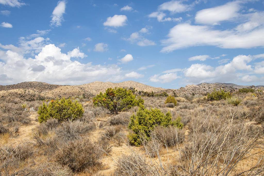 Pioneertown, CA 92268,51001 Geronimo TRL