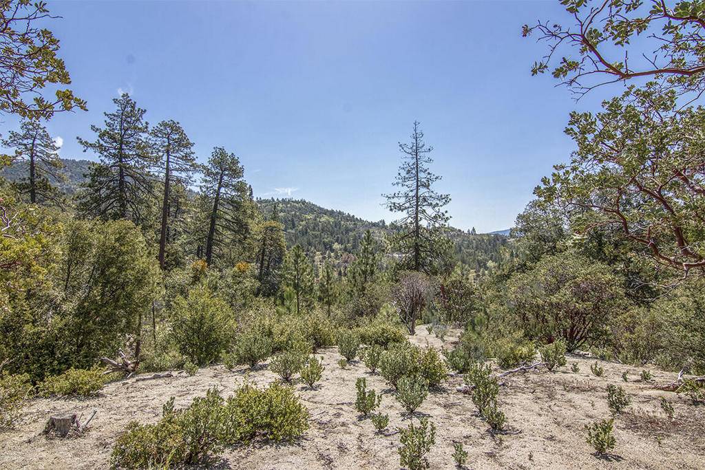 Idyllwild, CA 92549,53720 West Ridge RD