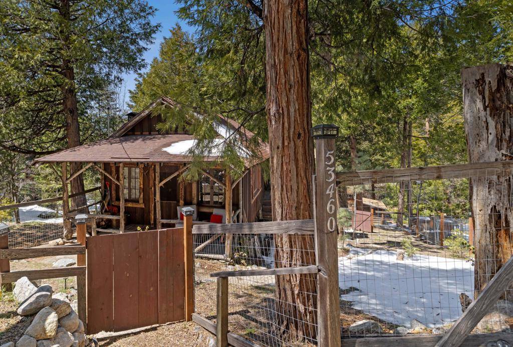 Idyllwild, CA 92549,53460 Marian View DR