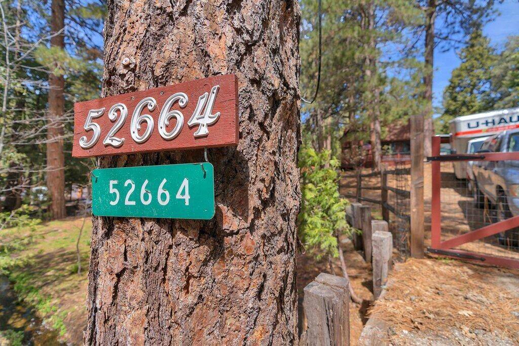 Idyllwild, CA 92549,52664 Sylvan WAY