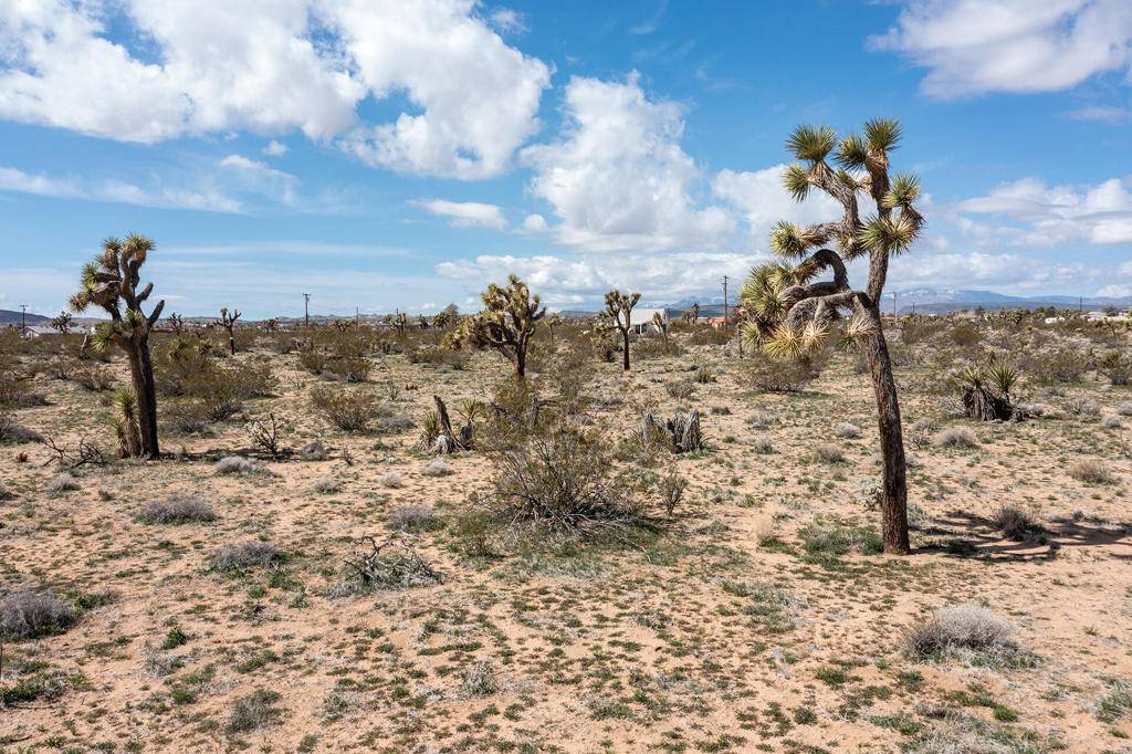 Joshua Tree, CA 92252,3052 Olympic RD