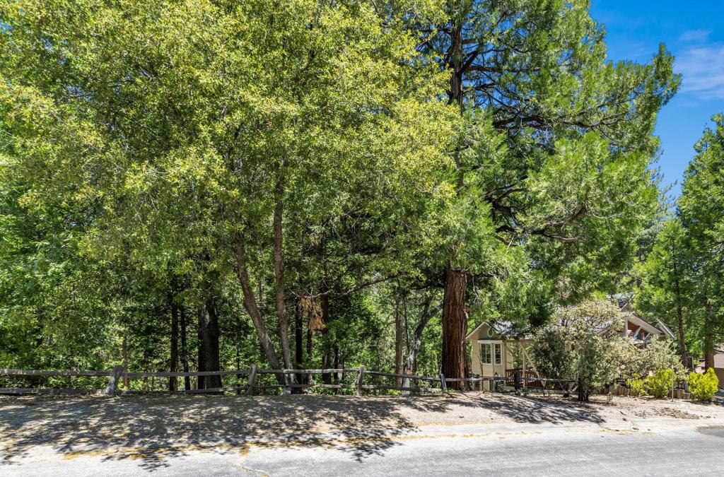 Idyllwild, CA 92549,25216 Gail DR