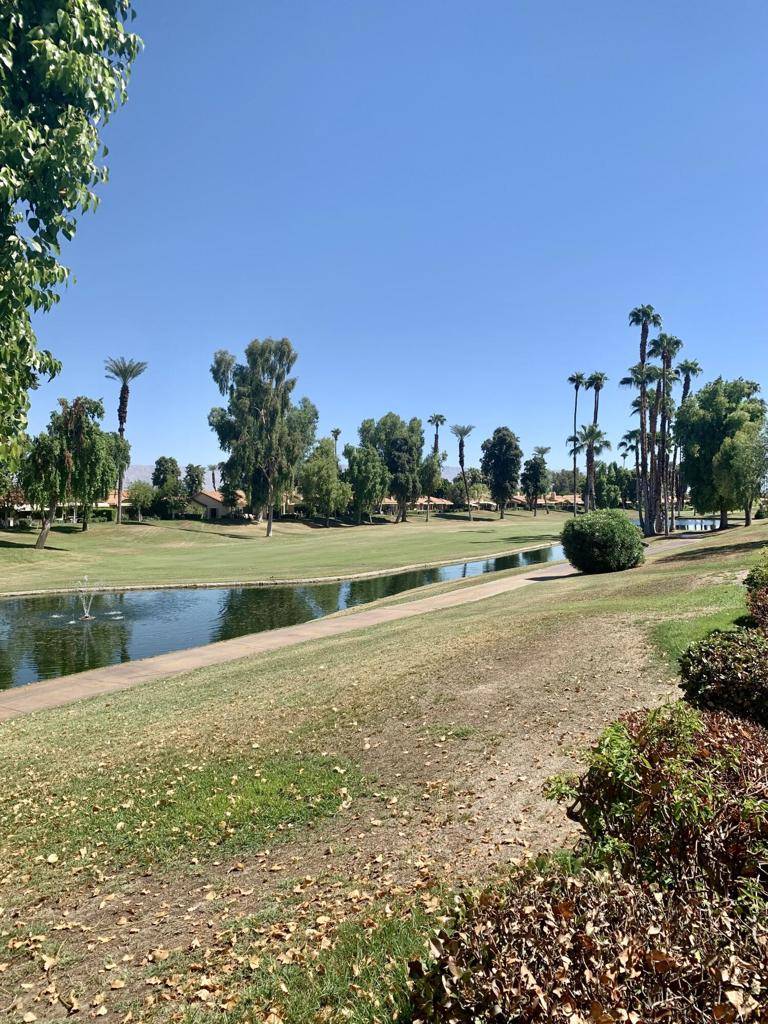 Palm Desert, CA 92260,224 Castellana S