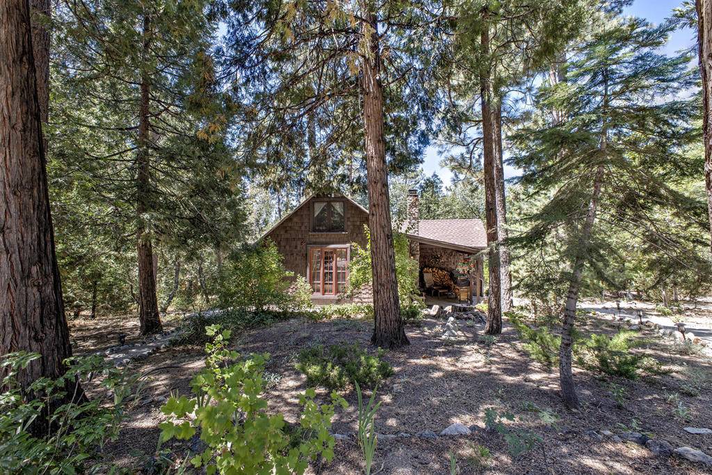 Idyllwild, CA 92549,25395 Lodge RD