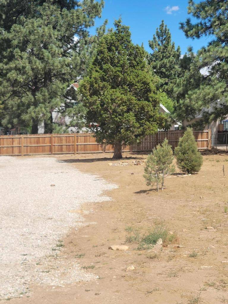 Big Bear, CA 92314,0 Willow LN