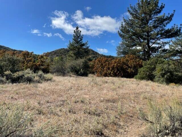 Mountain Center, CA 92561,Lot 40 Gold Shot Creek RD