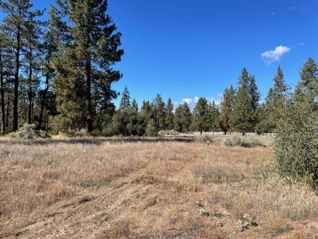 Mountain Center, CA 92561,Lot 19 Devils Ladder Road