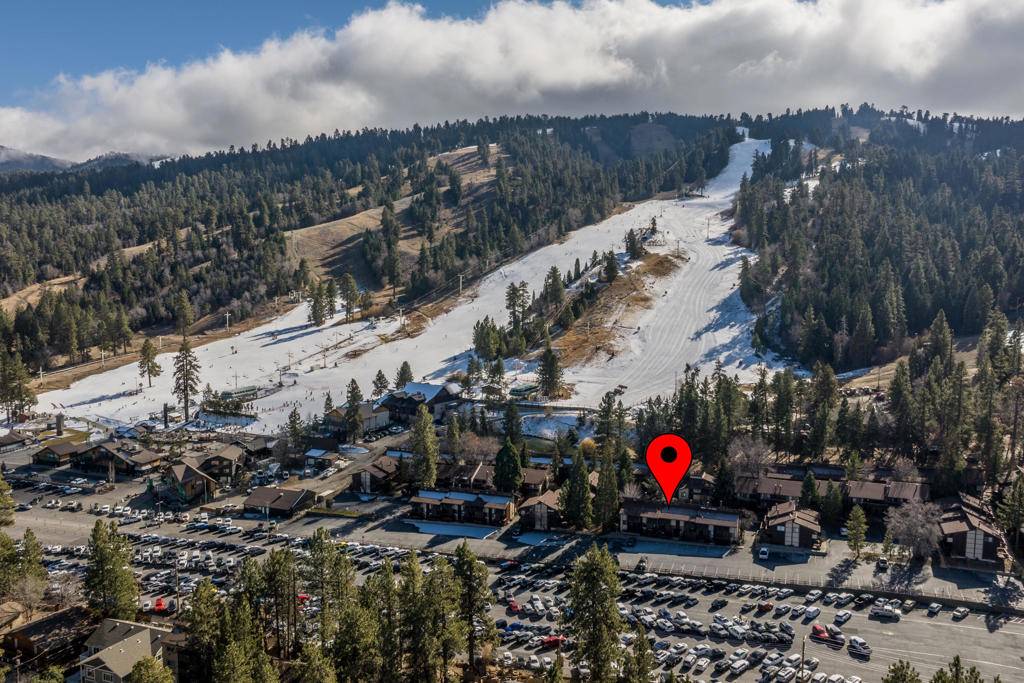 Big Bear, CA 92315,861 Thrush DR #43