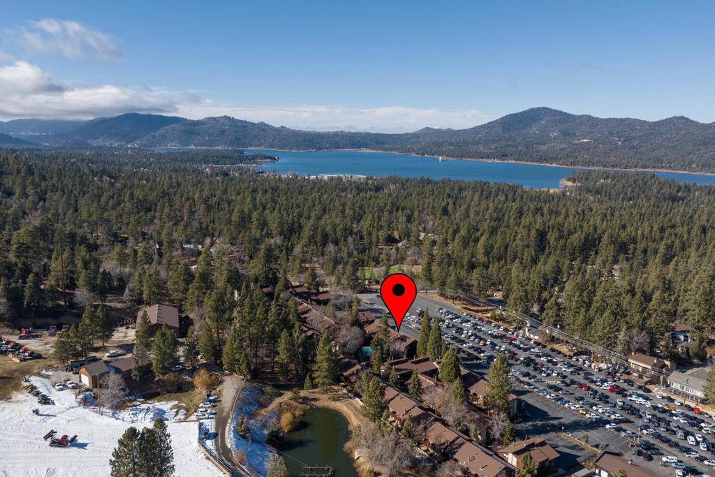 Big Bear, CA 92315,861 Thrush DR #43