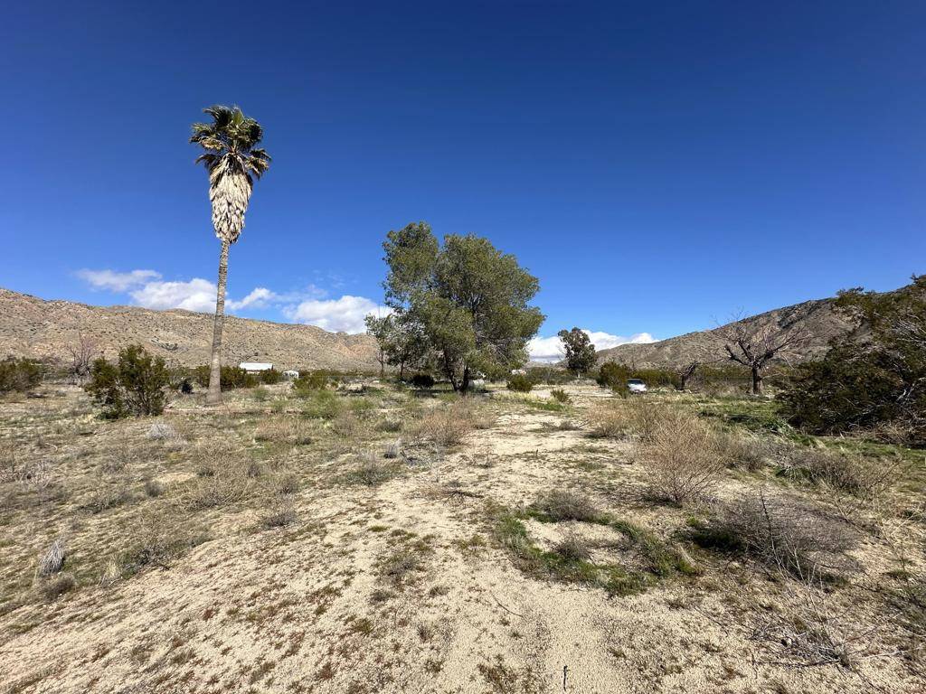 Morongo Valley, CA 92256,8985 Belden AVE