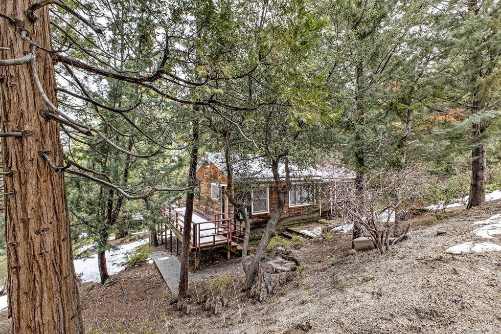 Idyllwild, CA 92549,53250 Middle Ridge DR