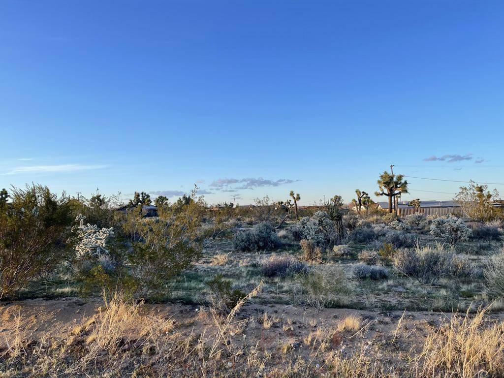 Yucca Valley, CA 92284,58244 Canterbury ST