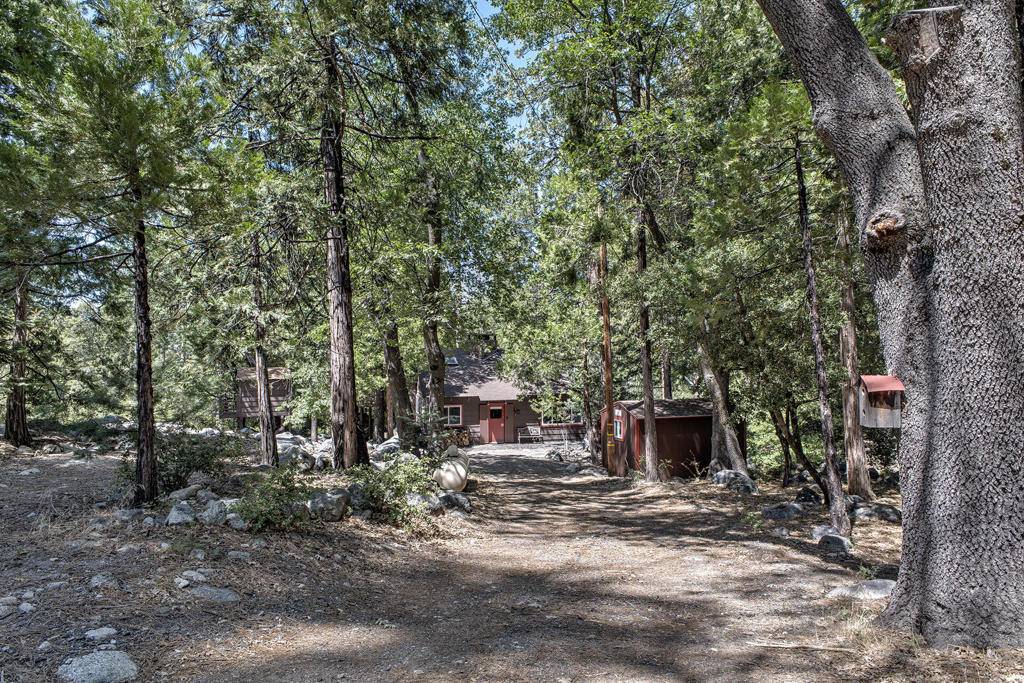 Idyllwild, CA 92549,24860 Upper Rim Rock RD