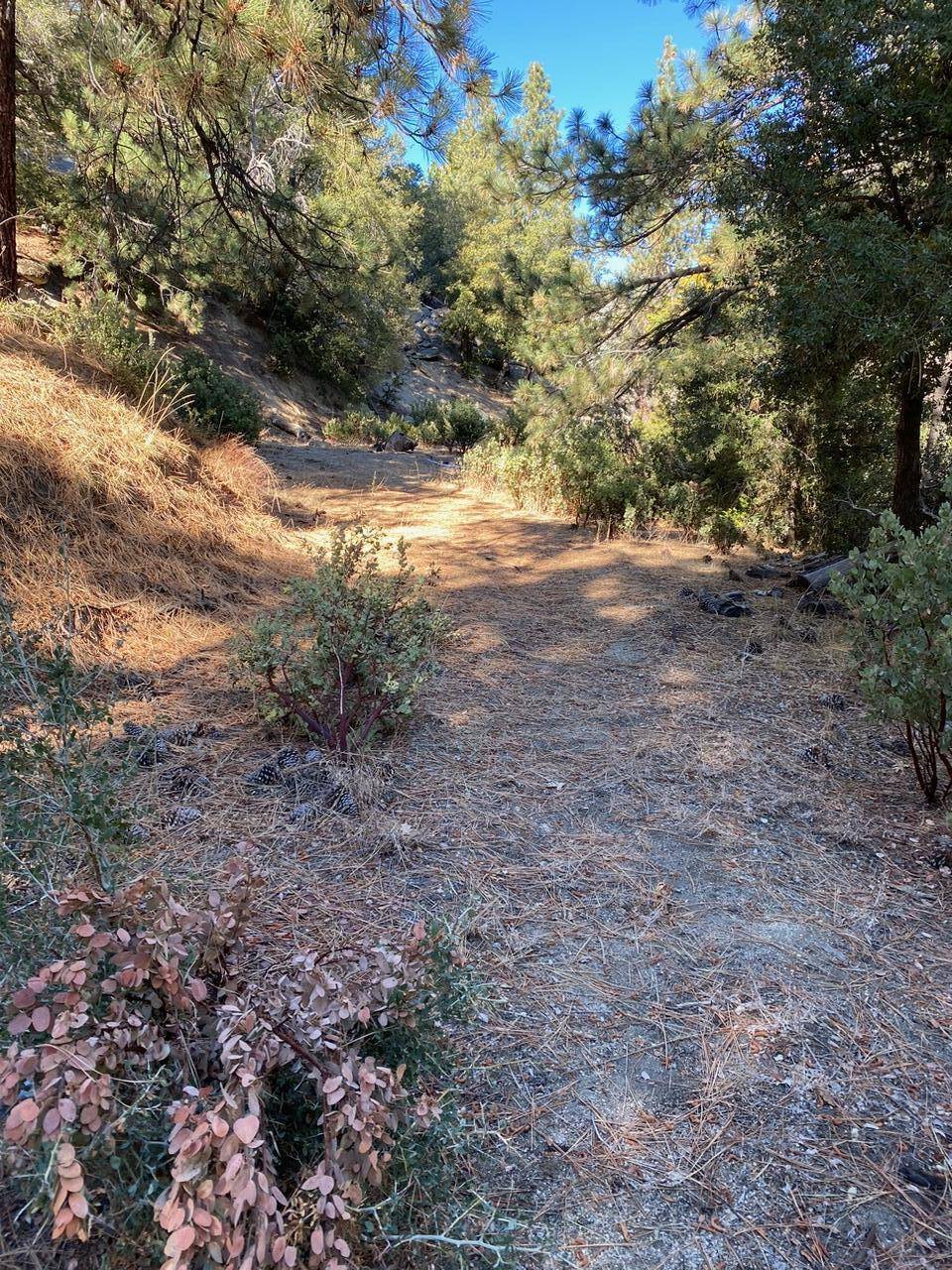 Idyllwild, CA 92549,0 Lakeview DR