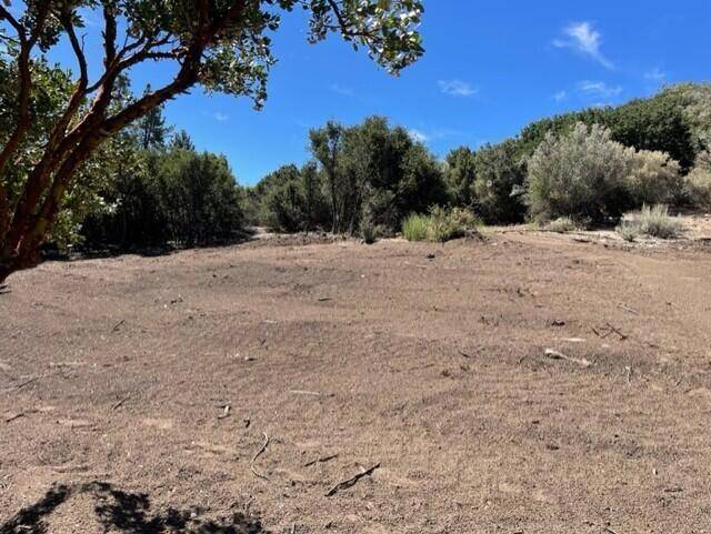 Mountain Center, CA 92561,Lot 27 Pipe Creek RD