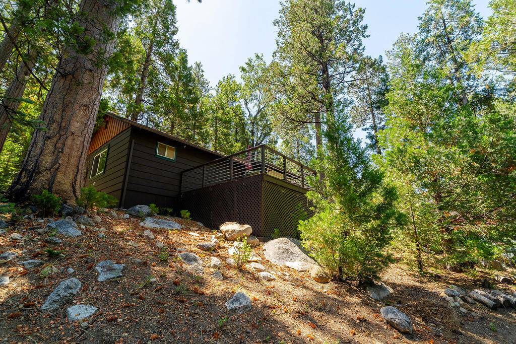 Idyllwild, CA 92549,25005 Fern Valley RD