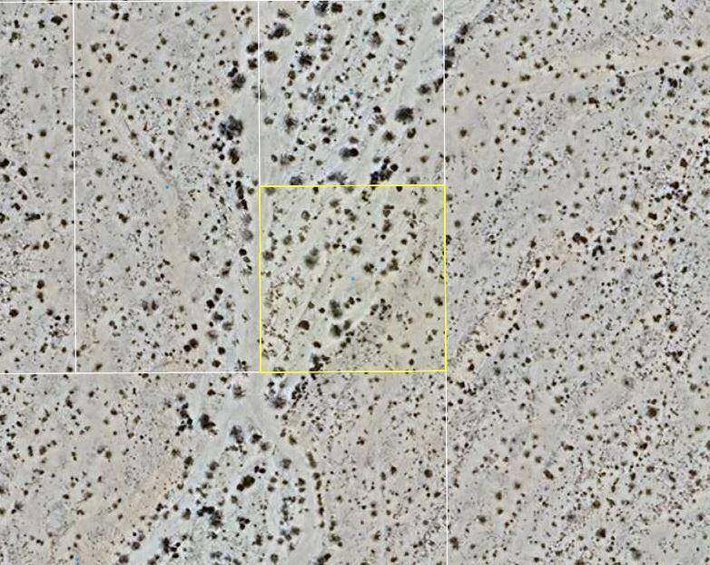 29 Palms, CA 92277,0 Mesquite Springs RD