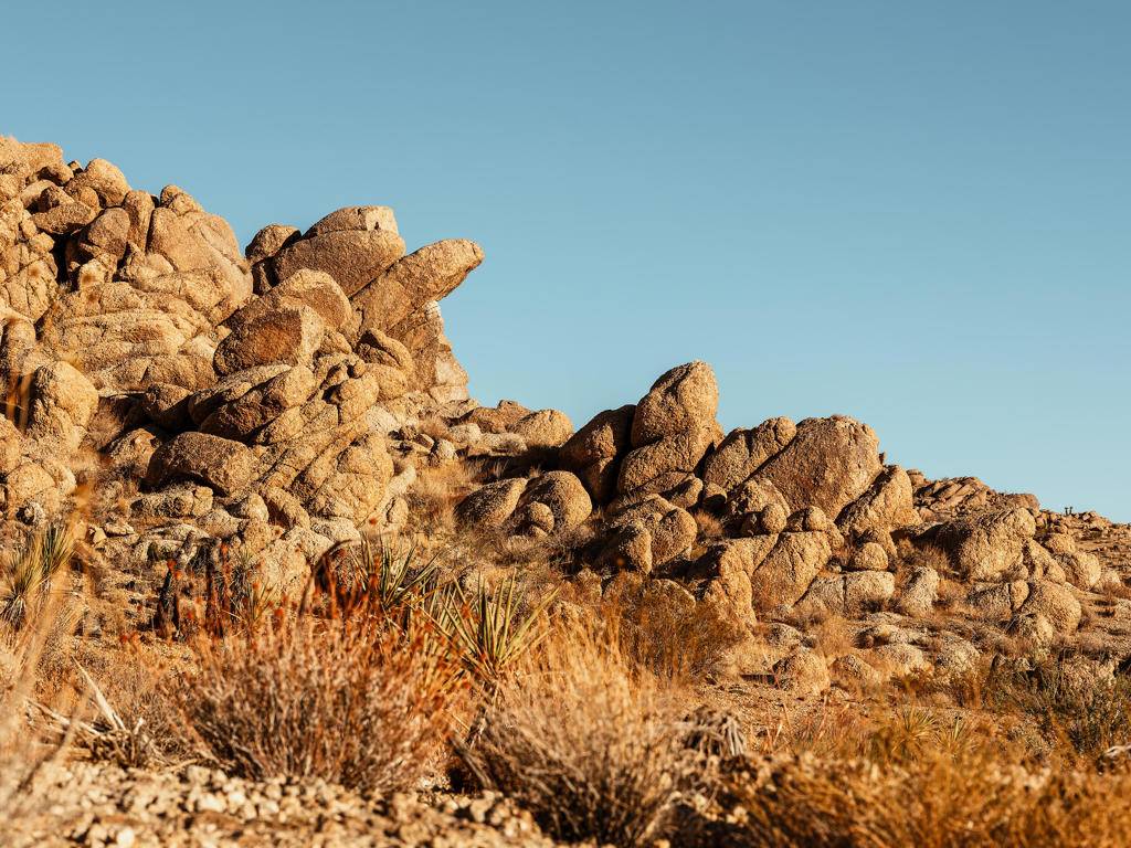 Yucca Valley, CA 92284,5610 Ducor AVE