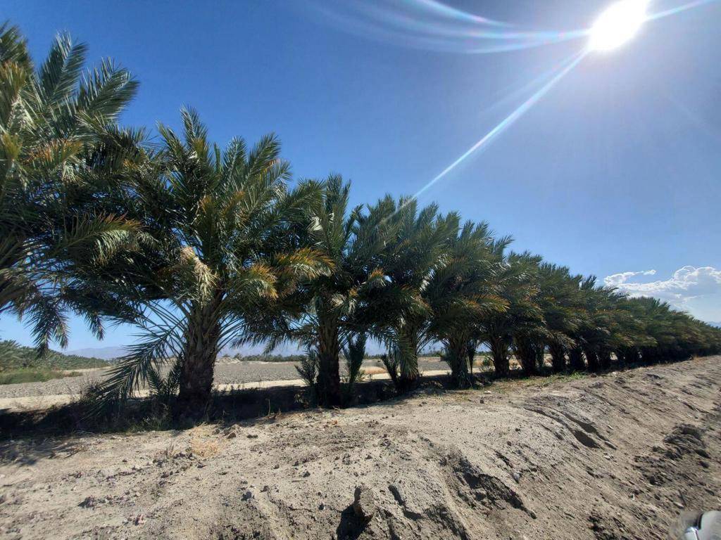 Coachella, CA 92236,0 Calhoun Street