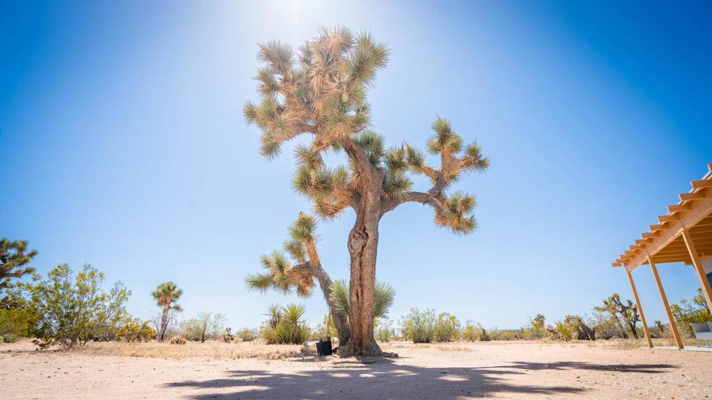 Yucca Valley, CA 92284,60010 Darlinda DR
