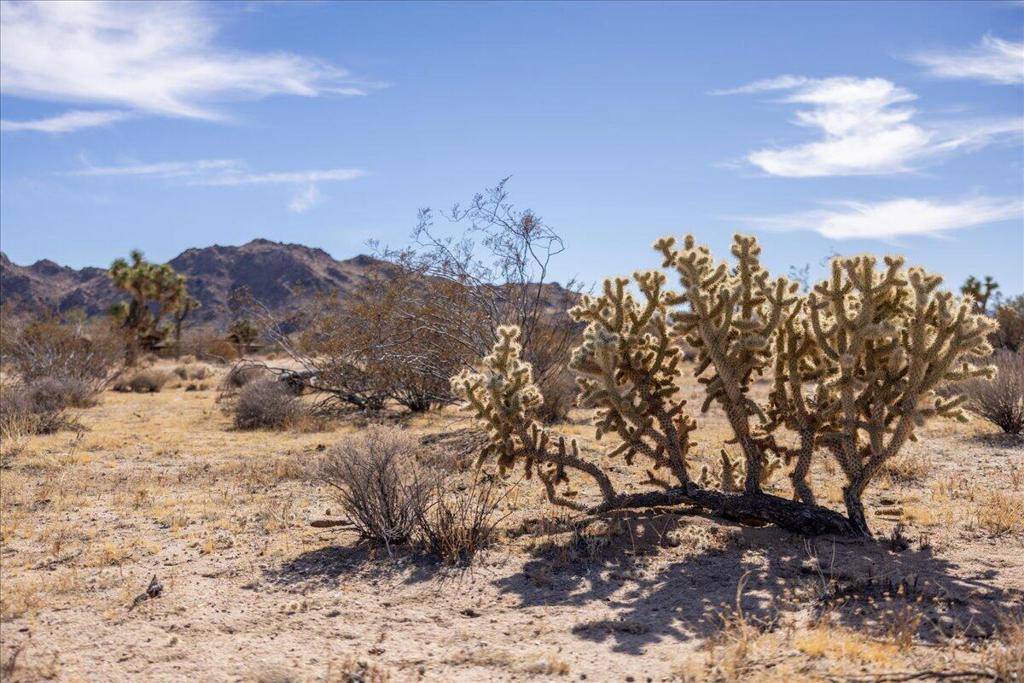 Yucca Valley, CA 92284,0 Olympic RD