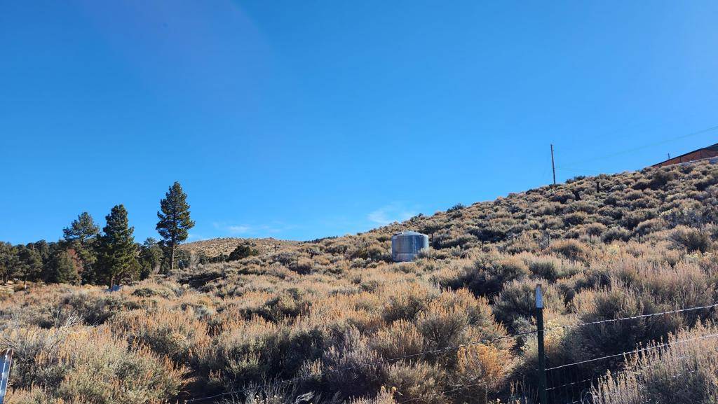Big Bear, CA 92314,0 Vale