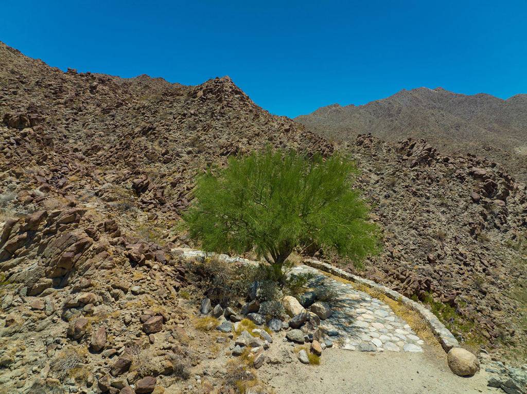 Palm Desert, CA 92260,707 Summit Cove
