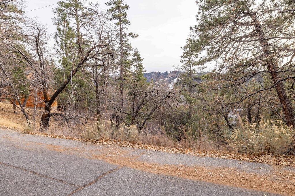 Big Bear, CA 92315,724 Menlo DR