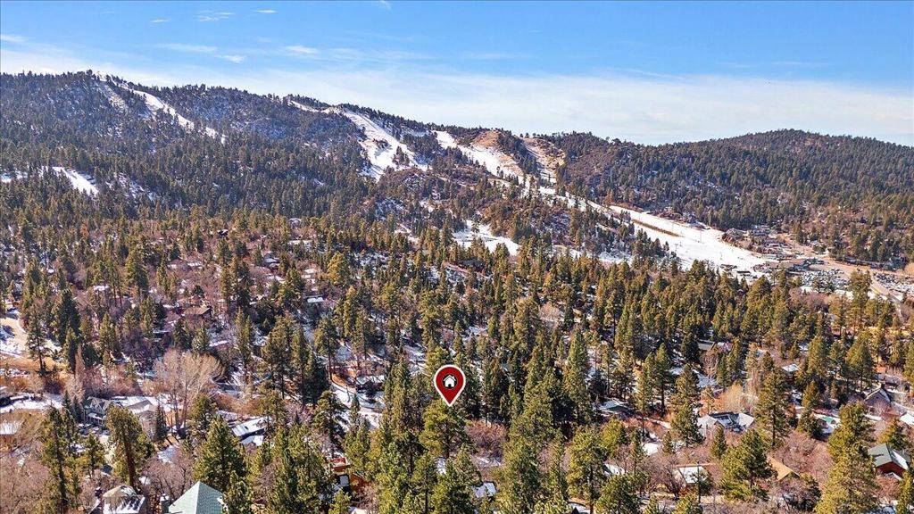 Big Bear, CA 92315,43546 Bow Canyon RD