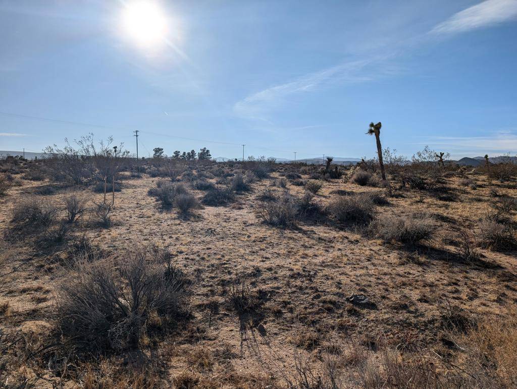Yucca Valley, CA 92284,476 Ripon AVE