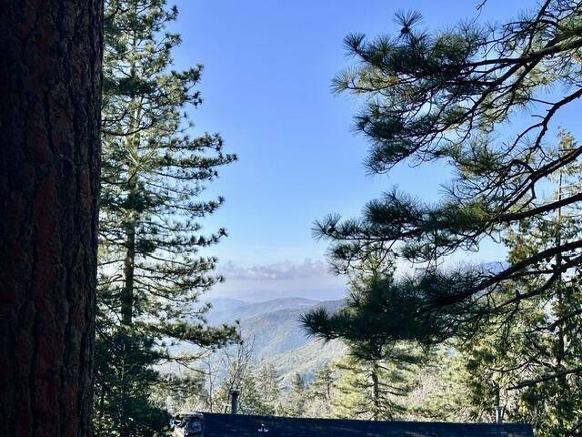 Idyllwild, CA 92549,0 Green Craig