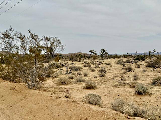 Yucca Valley, CA 92284,0 Drexel DR