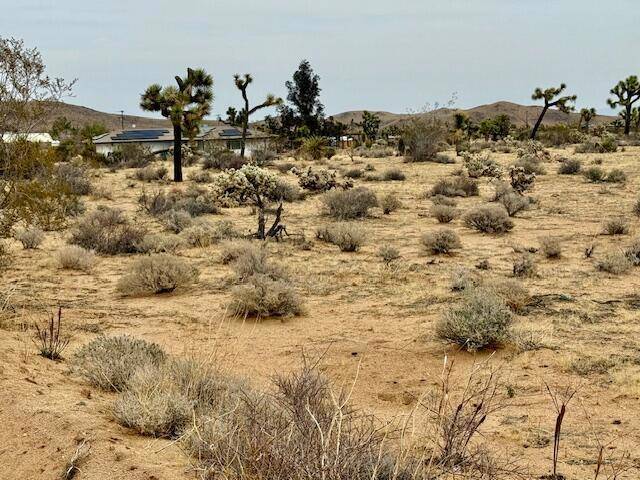 Yucca Valley, CA 92284,0 Drexel DR