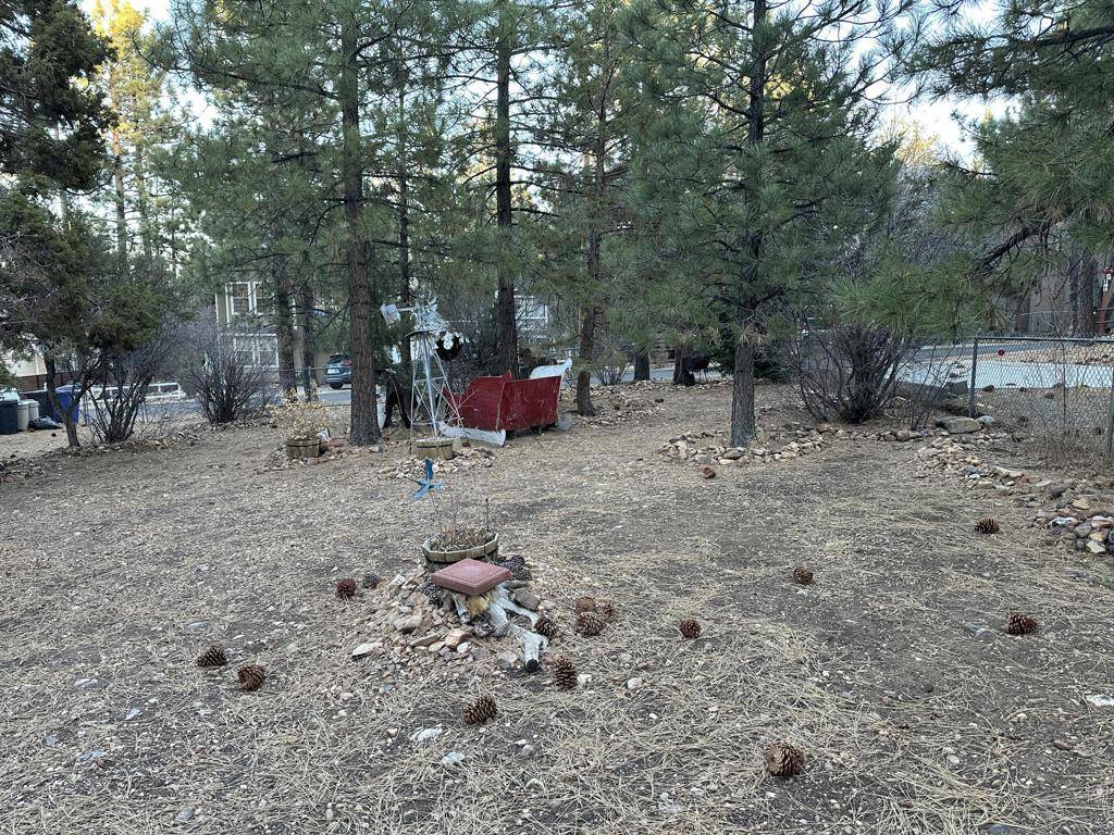 Sugarloaf, CA 92386,0 Spruce LN