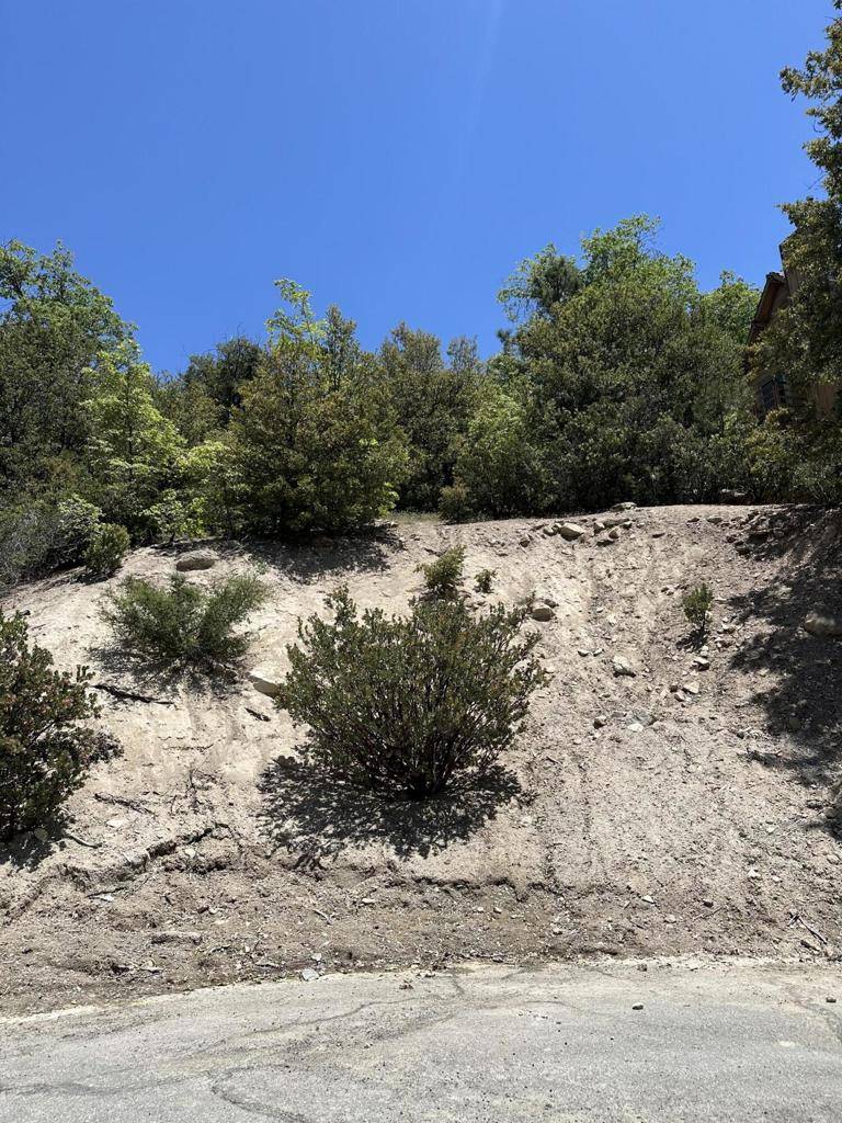 Lake Arrowhead, CA 92352,0 Sandalwood CT